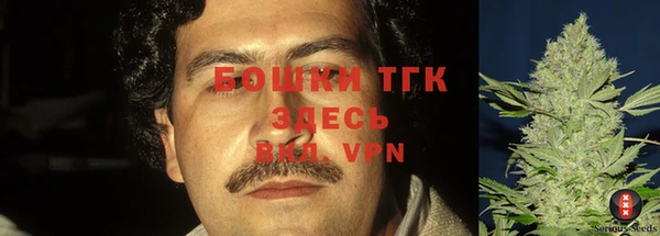 СК Кинешма
