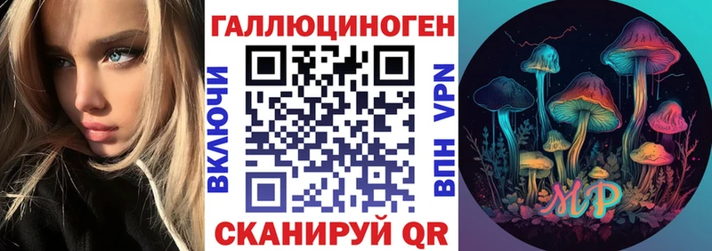 Купить  Нея  Псилоцибиновые грибы Cubensis 